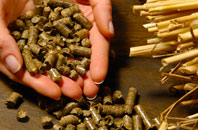 free Woodcote biomass boiler quotes